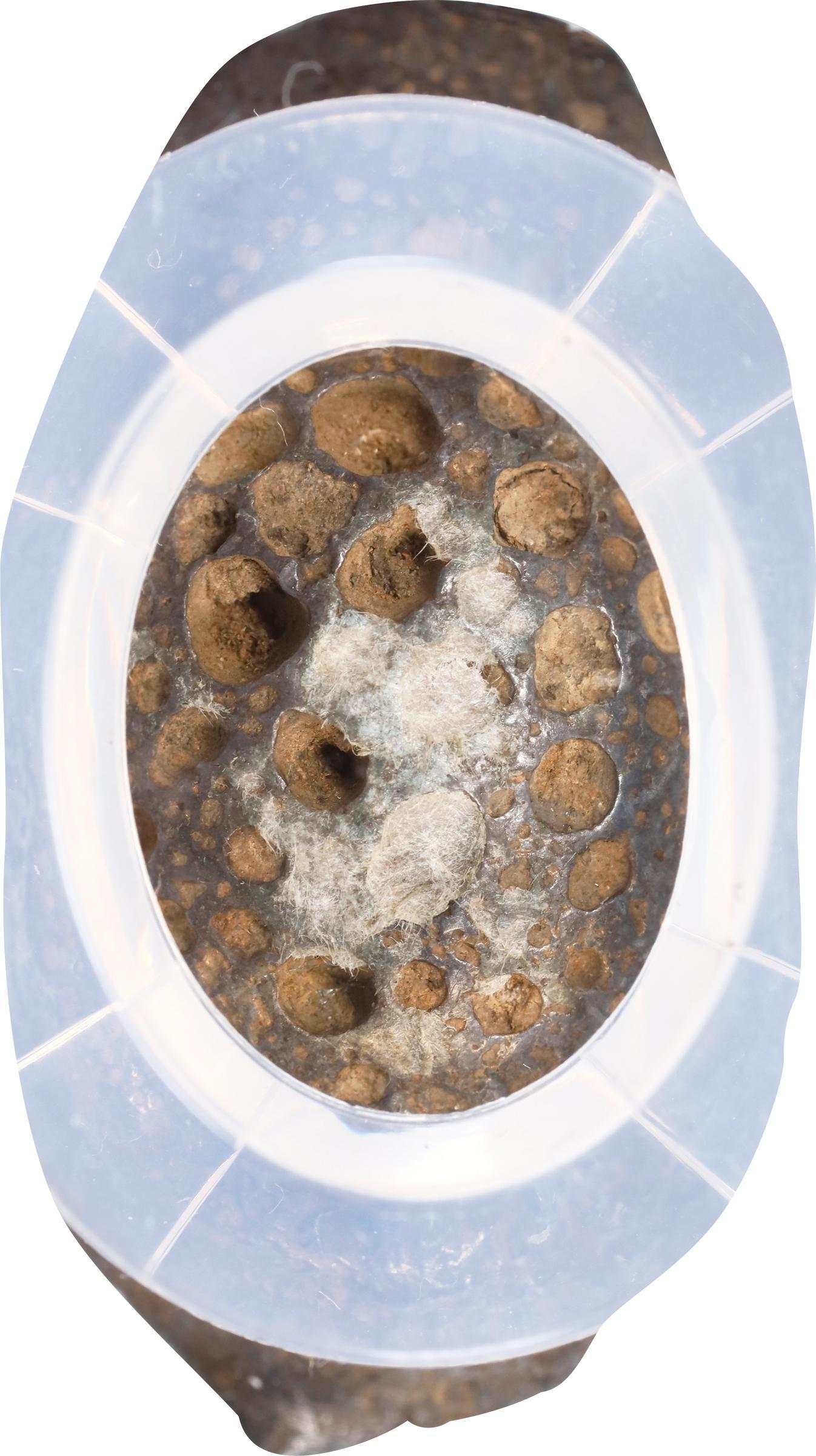 1636-1911-China-Qing-Dynasty-Yuansi-Changyuankezi-Ae-1.25-Tael-Fine-Silk-Oval-Sycee-AU-53-By-GBca